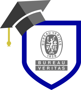 BVPI U